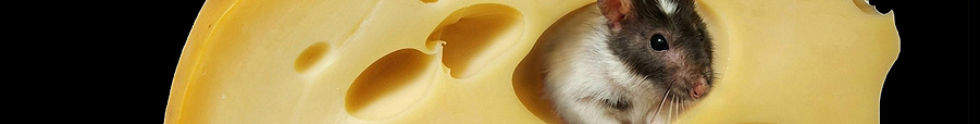 banner images